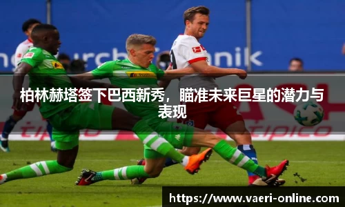 bsports官网入口