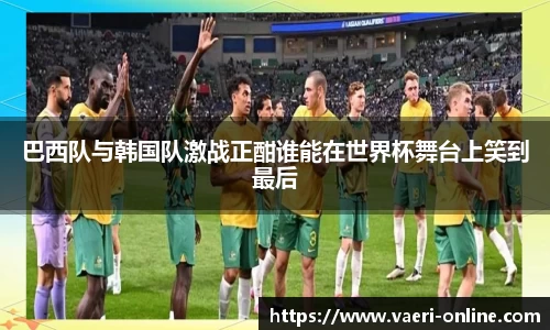 bsports官网入口