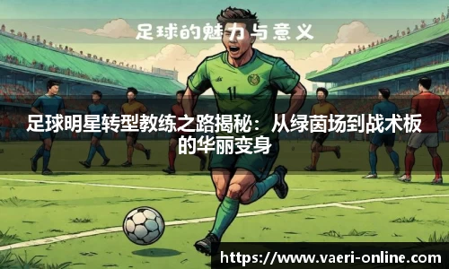 bsports官网入口